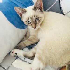 Meet your Posher, Zhi